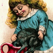 Victorian Trade Card Wheeler & Wilson - Girl Stuffs Cat? into Pitcher Trenton NJ