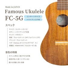 Famous FC-5G BGC Set Concert Ukulele Famous Ukulele Beginner Set