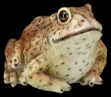 Gartenfigur Frosch - Kr&ouml;te - HotAnt Garten Deko Amphibie Realistisch