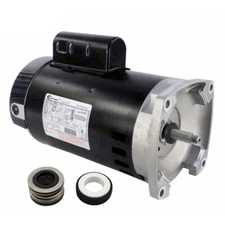 Puri Tech Motor and Seal Replacement Kit 1hp Century B2844 Motor and PS-200 Seal