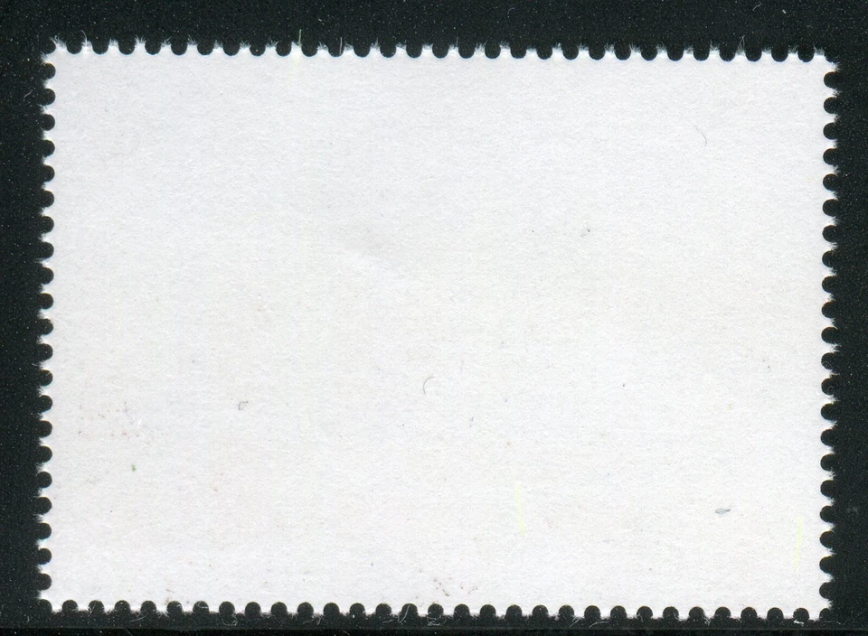 318 - MONTENEGRO 2021 - EUROPA - Aves - Tivatska solila - MNH  Foto 2 de 2