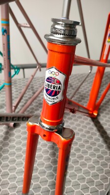 Stickers Moser Cizeron - Décoration Vélo - Fabriqué En France - Autocollants