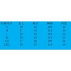 Bild 11 von 19