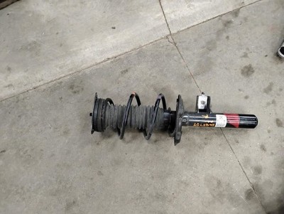 ROGUE     2026 Strut 2190393