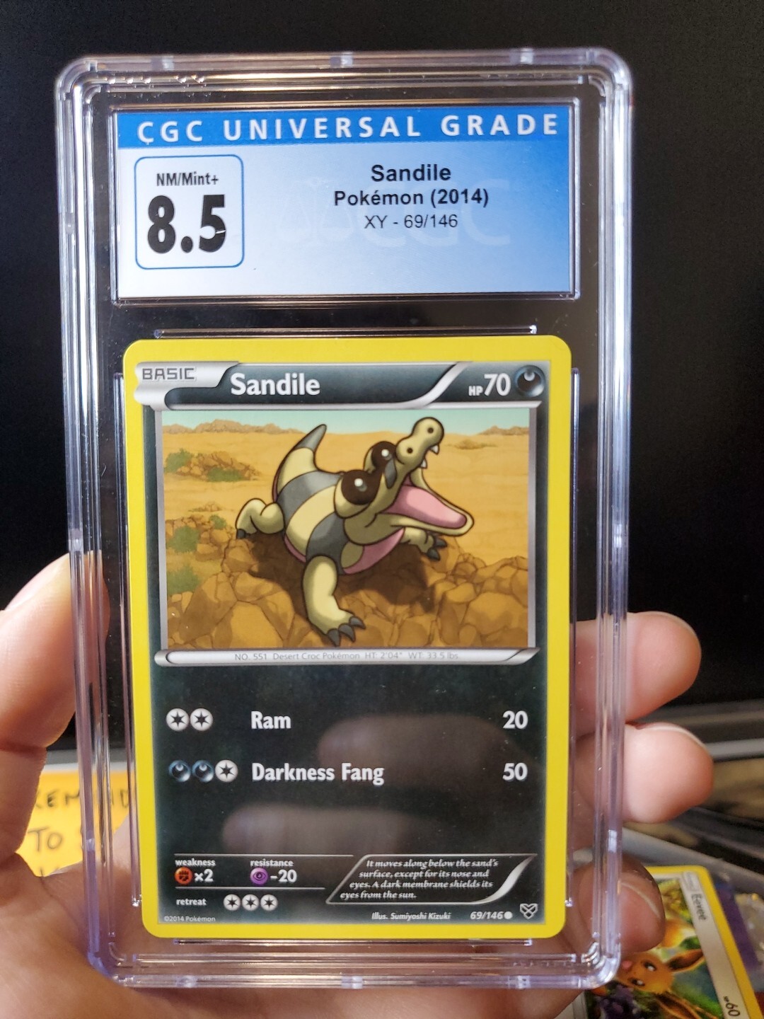POP 1 (None Higher) 2014 Sandile #69/146 XY Base Set Common Pokemon Card 