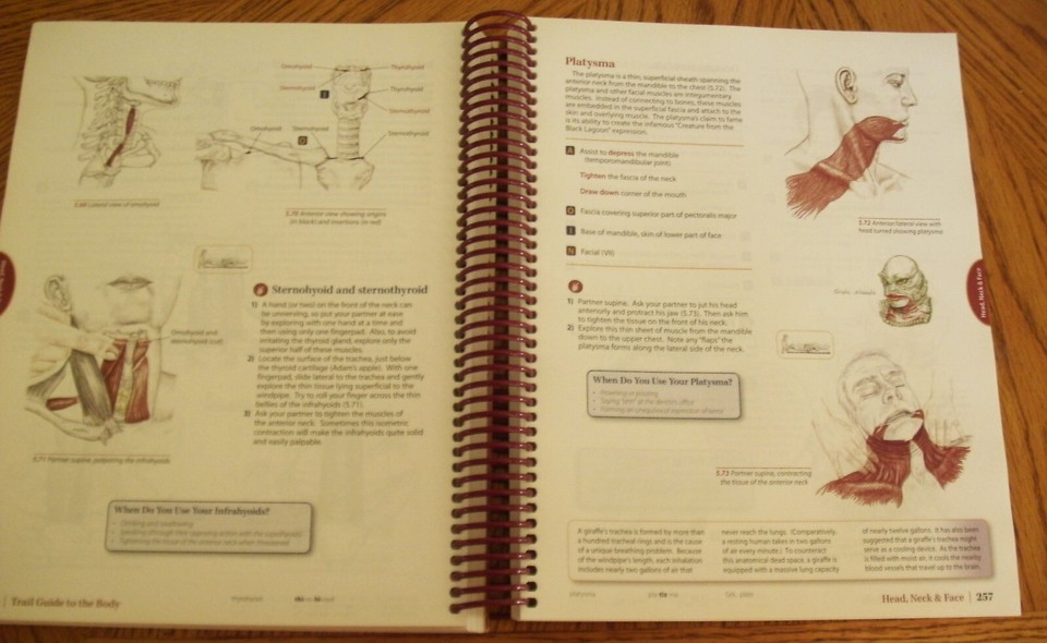 Trail Guide To The Body How To Locate Muscles Bones And More 5th Ed Trail guide to the body how to locate muscles bones and more 5th ed
