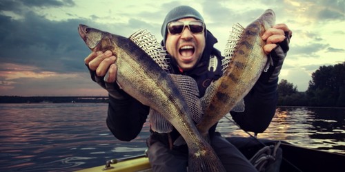 Micro Swimbait, Paddle Tail MICRO ATTACK (Rosa) 1,5" Esche Dinamiche - Foto 4 di 5
