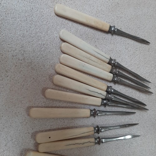 Vintage Lot Bone Nut/Pecan Pickers, Cocktail Picks Kitchen Lot (11) 5" Long