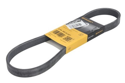 For FORD USA MUSTANG; LADA KALINA II, PRIORA 1.6/1.6LPG/5.0 V-RIBBED BELT