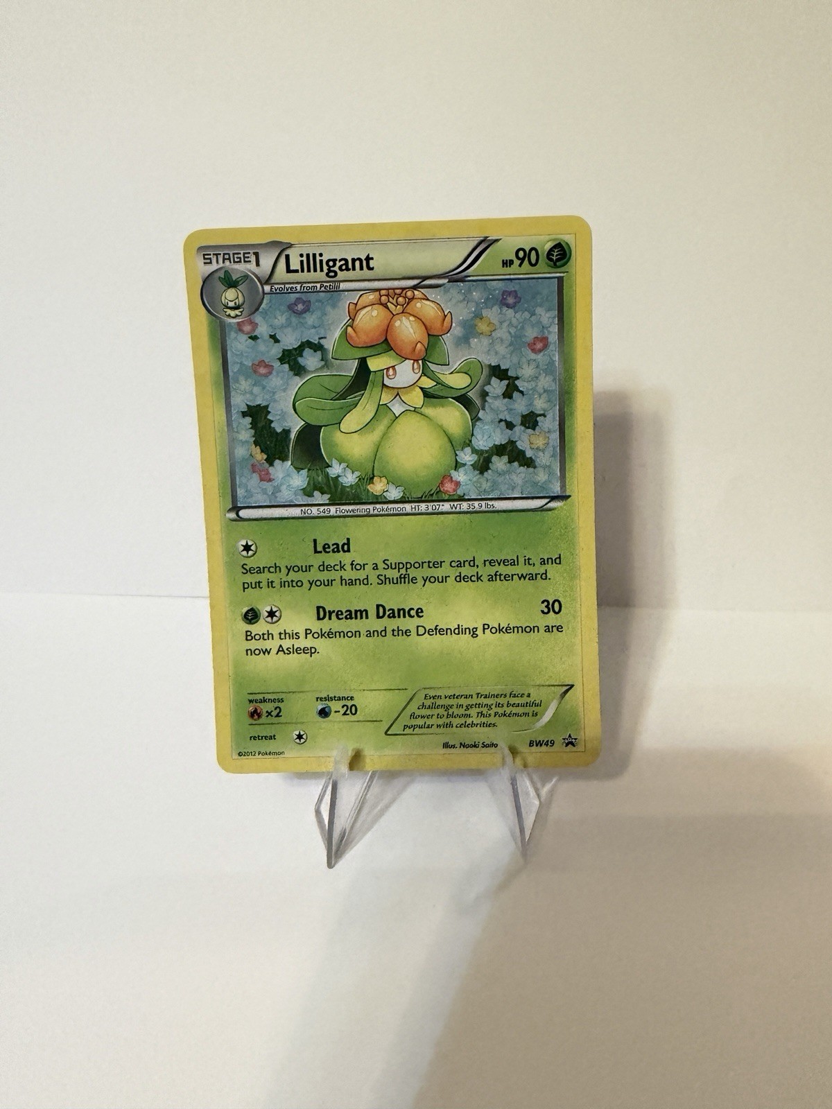 Lilligant BW49 Holo Promo NM Black And White Promo Pokemon NEAR MINT