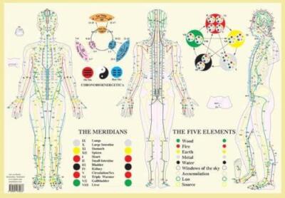 Meridians  Five Elements -- A2 by Jan van Baarle 9789491974038 NEW Poster