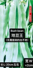 60Ct Bush Bean Seeds Vegetable Garden Heavy producer NON-GMO 60                     