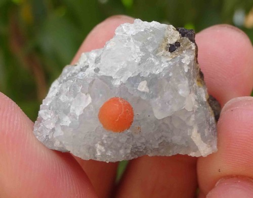 RED FLUORITE ON QUARTZ MATRIX BASE # 11 - Picture 2 of 3