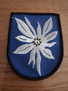 Patch Edelweiß Staffel Jabog 34 Memmingen Luftwaffe Airforce NATO Aufnäher