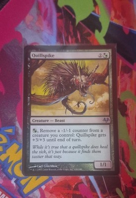 Quillspike Eventide Regular