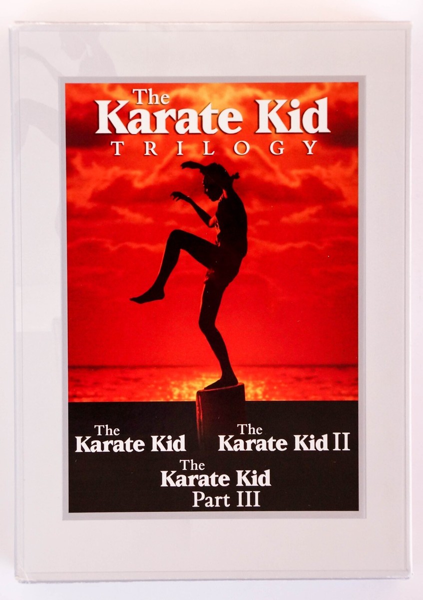 The Karate Kid Trilogy (2008 3-DVD box set) Original 3 films 1984