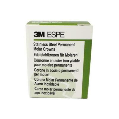 Primer molar inferior derecho archivos - Depósito Dental REISIX Primer molar inferior derecho archivos - Depósito Dental REISIX