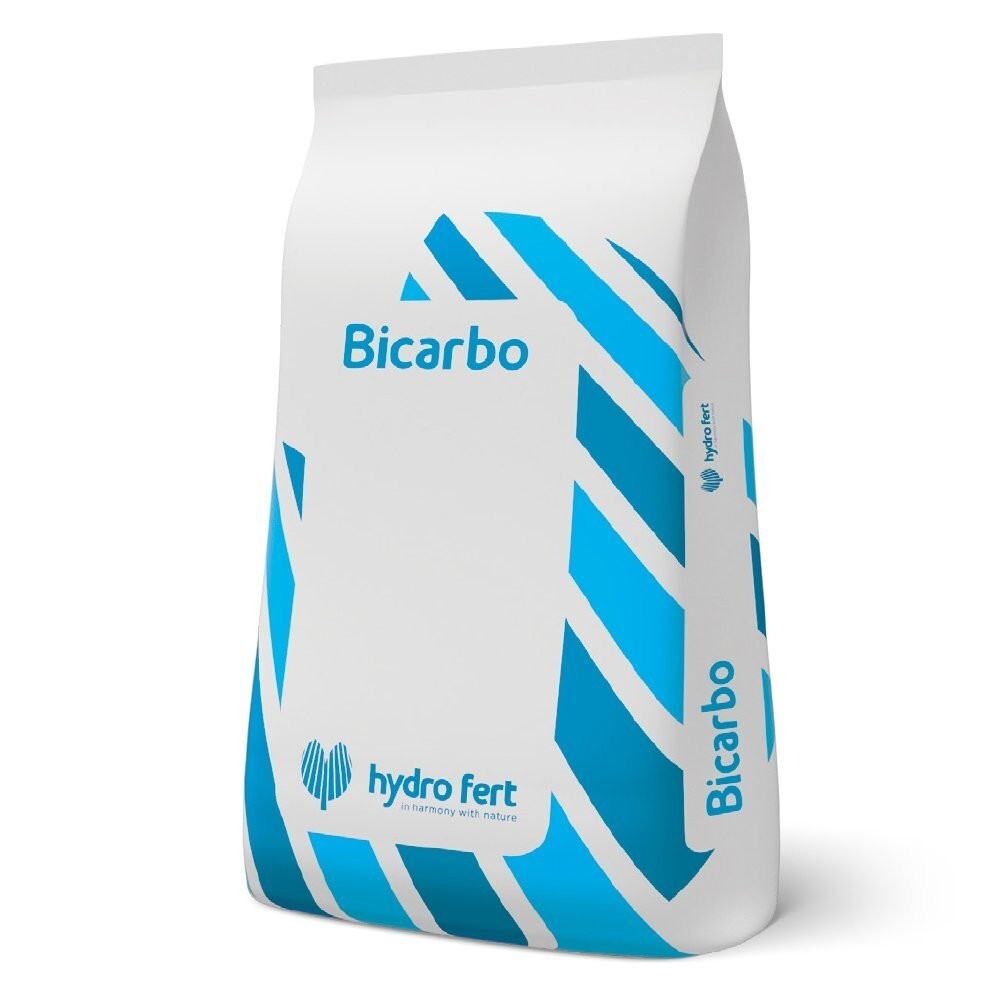 SPINTZ Bicarbonato Di Sodio Biologico 1000g - Lievito Naturale In Polvere