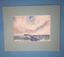 8" x 10" Matted 5" x 7" Print of Whale Breaking Thru Wave Seagull Above