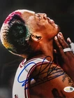 Dennis Rodman Signed METALLIC Photo 8x10  NWO Bulls Worm Autograph HOF JSA HOGAN