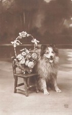 CP CHIEN PANIER FLEURS - 48421