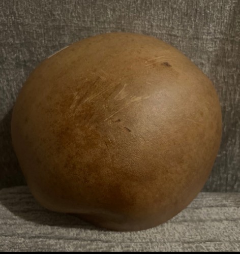 Jamaican calabash bowl - Picture 4 of 12