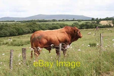 Photo 6x4 Beaworthy: on Venn Down Boasley Cross Looking south east toward c2006