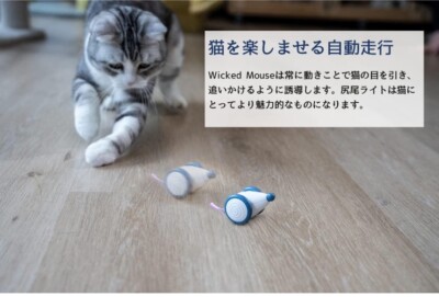 Cheerble Interaktive Maus, Elektrische Maus Katzenspielzeug, LED-Leuchten für Katzen im Innenbereich