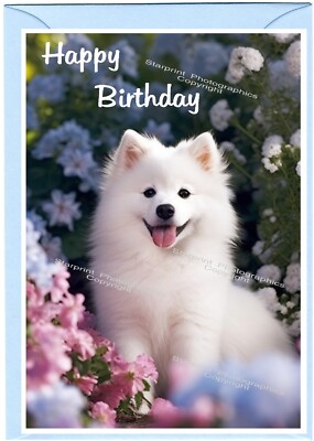 American Eskimo Dog What Breed Of Dog Is Gabe The Dog Portrait