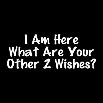 I Am Here What Are Your Other 2 Wishes Genie Decal Sticker White Die Cut Vinyl