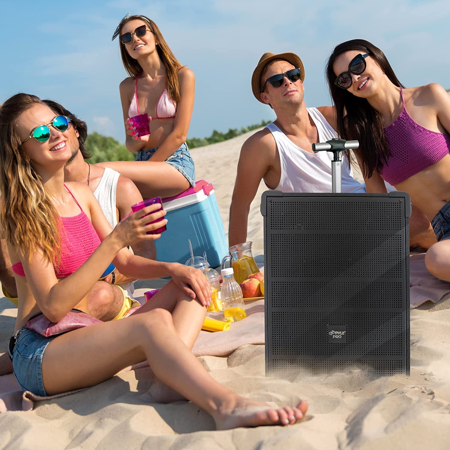 PylePro PWMA899A 8'' Portable Wireless Bluetooth Speaker System