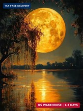 Moon Landscape Diamond Art Kits for Adults,5D Diamond Painting Kits for Adults,D