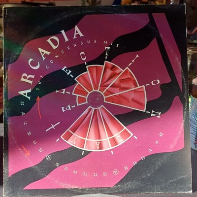 DISCO 12'' MIX 45 GIRI ARCADIA ELECTION DAY THE CONSENSUS MIX 14 2008156 ITA 1985