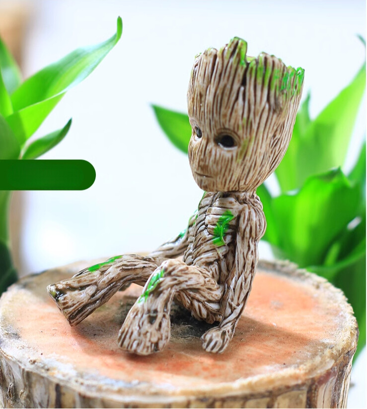 Brazilian Wood plant, Indoor Office Desktop Plant, mini Brazil