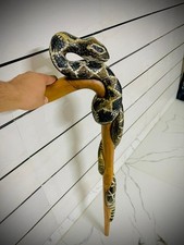 wooden walking stick hand carved snake wooden walking cane