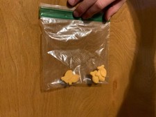 Rare Pair of Stuck-Together Goldfish (Not Use...
