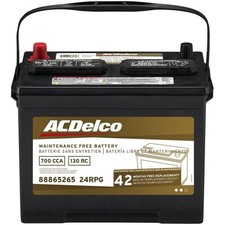 24RPG Battery ACDelco Professional/Gold