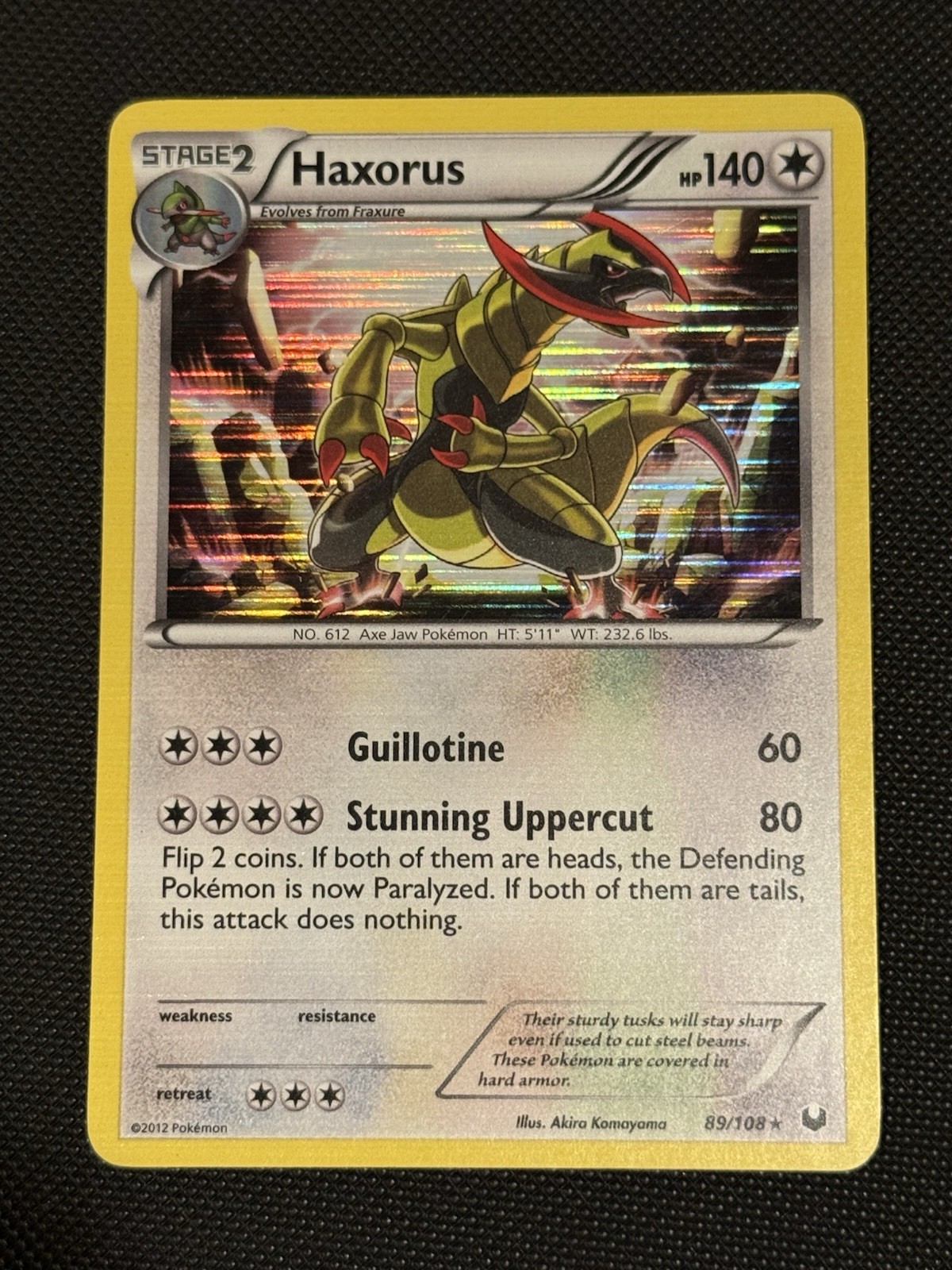 Haxorus 89/108 Dark Explorers Holo