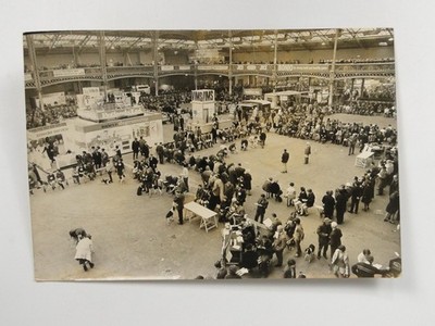 Crufts Dog Show Olympia London Richter Pedigree Chum WIMPY 1969 Vintage Pressefoto