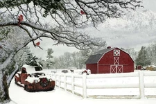 Hoffman - Frosted Holidays - 29" Winter Scene Panel - December