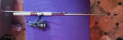 quantum snapshot rod