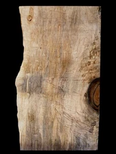 XL Curly HARDWOOD BLISTER/QUILTED Maple Burlwood Slab, Craft wood, Turning wood 