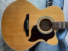 Takamine Guitar, The Jumbo (eg523sc)