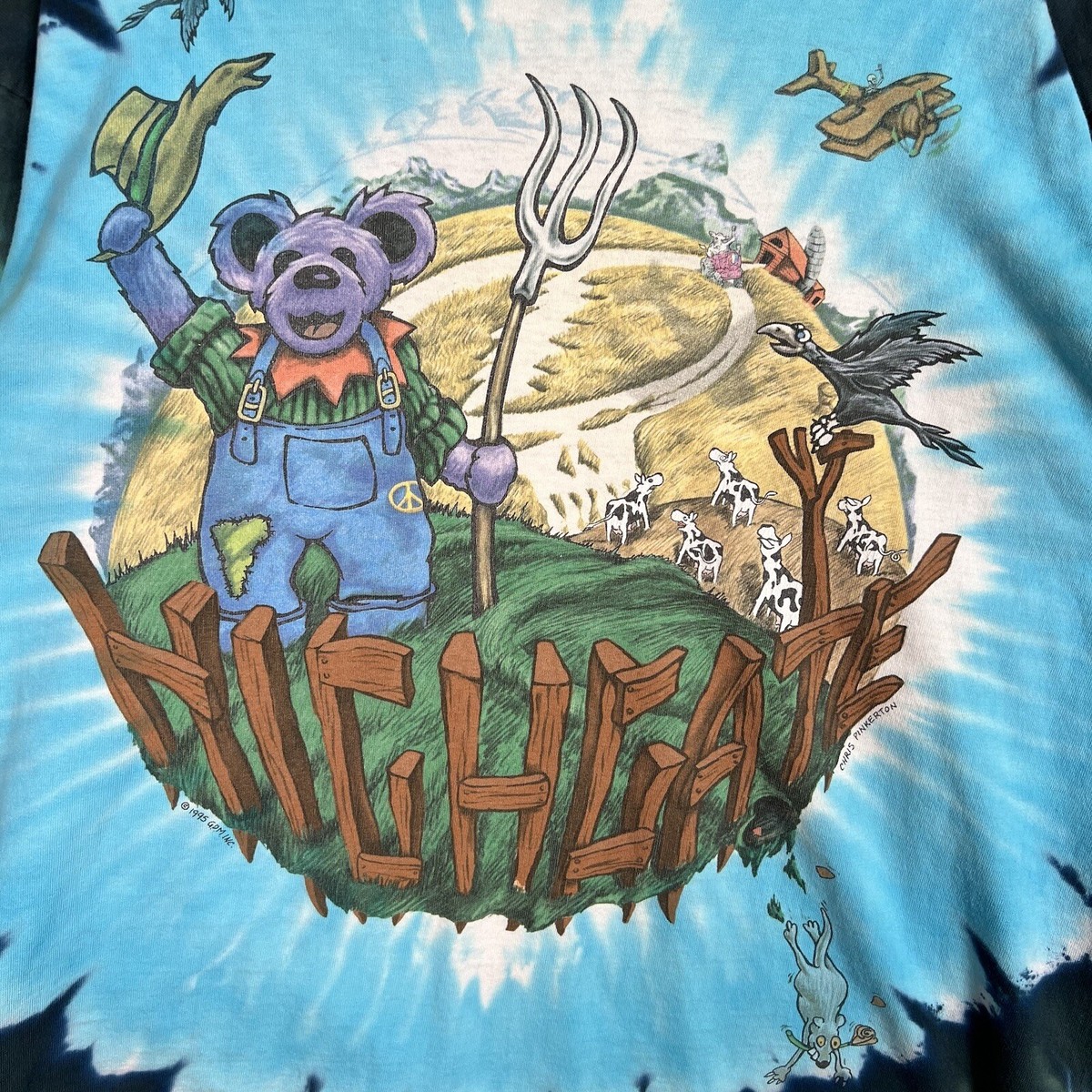 Vintage 90s 1995 Grateful Dead Highgate Band T Shirt Adult XL Tie