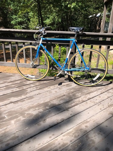 SCHWINN TRAVELER 23.5/27" with Touring Bike conversion Blue/White - Picture 2 of 12