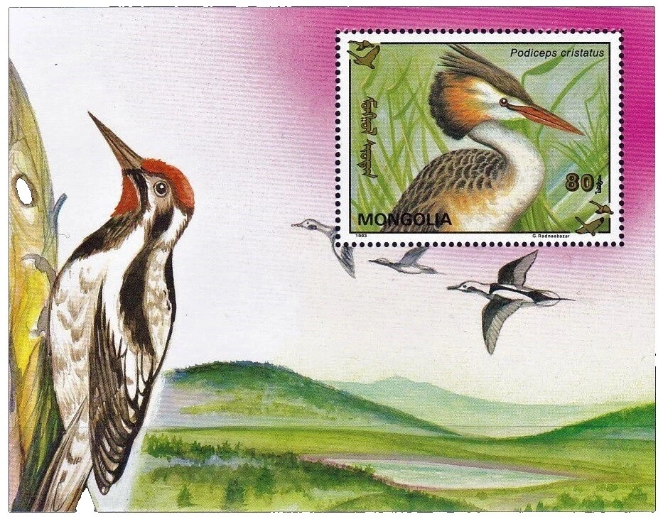 完好未铰边/全新邮票蒙古鸟类邮票