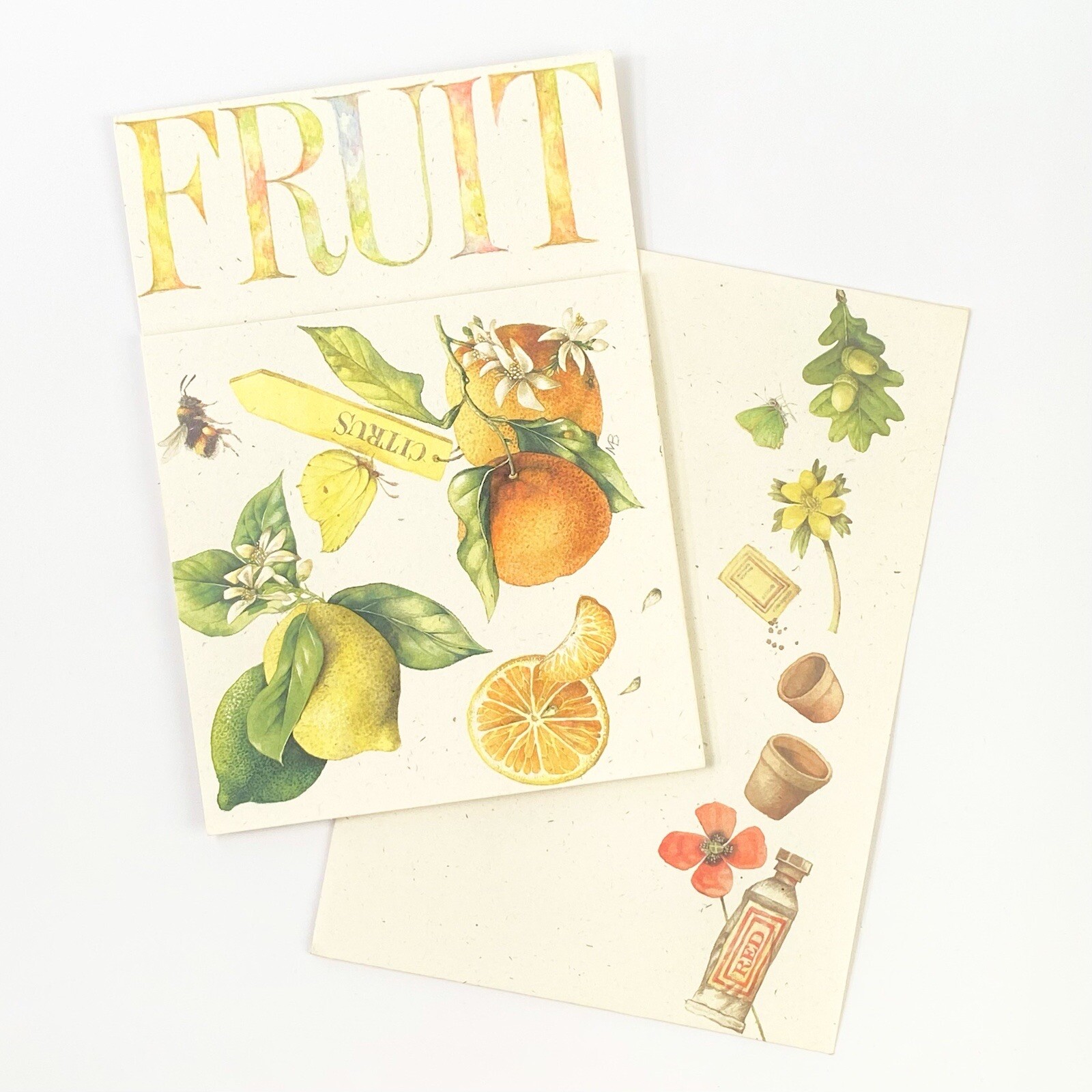 Marjolein Bastin 25.5 Inch Fruit Foldout Blank Card Envelope Hallmark 1994 Mint Condition