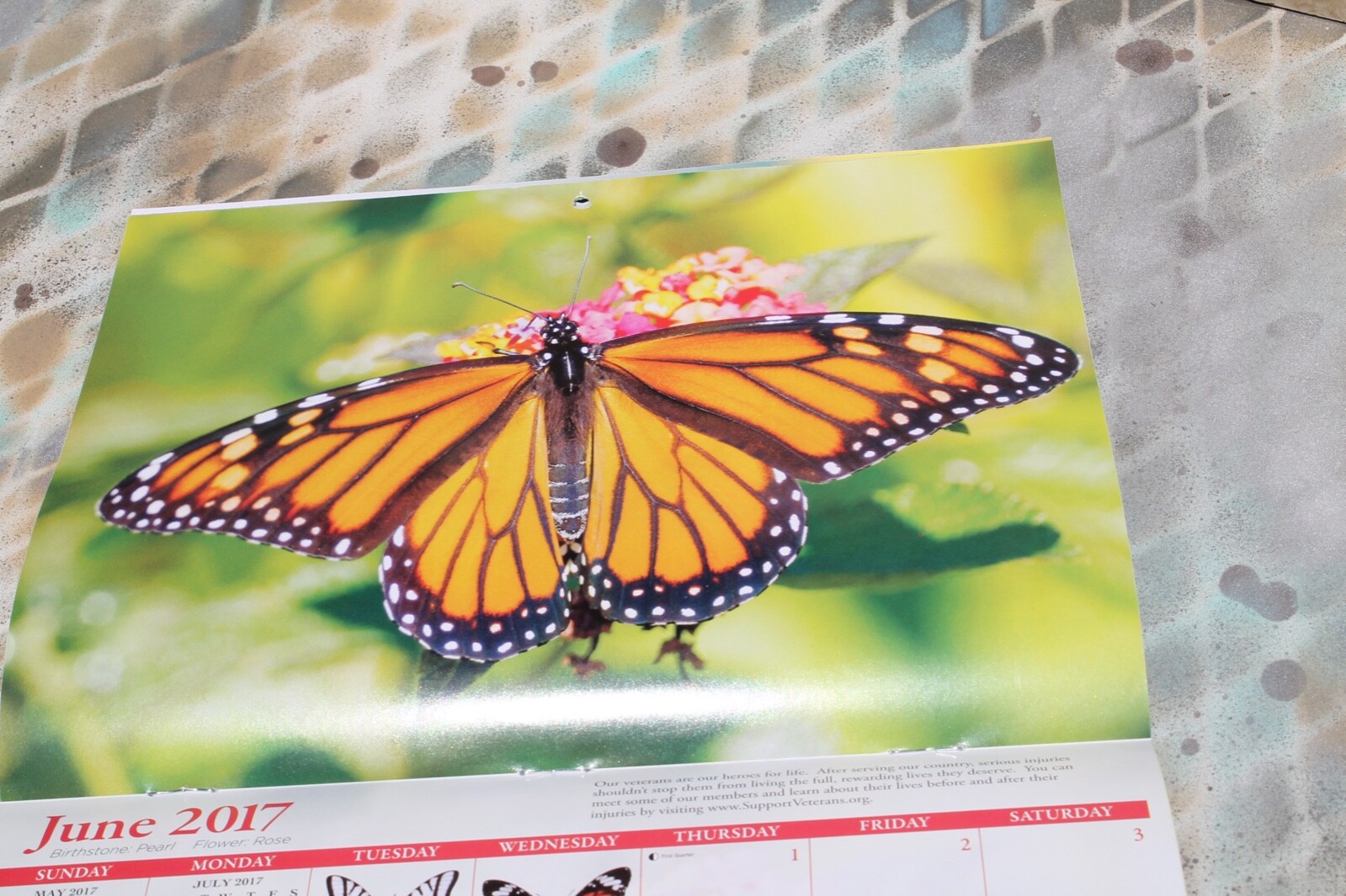 Picture 3 of 4