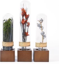 3Pcs Dried Flowers Boho Shelf Decor, Rustic Farmhouse Gift, Office