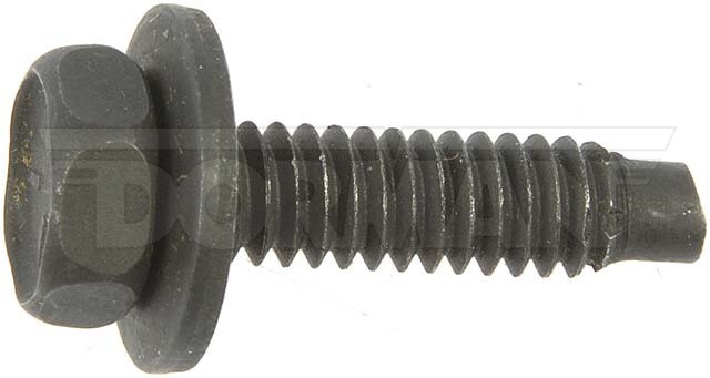 Picture 1